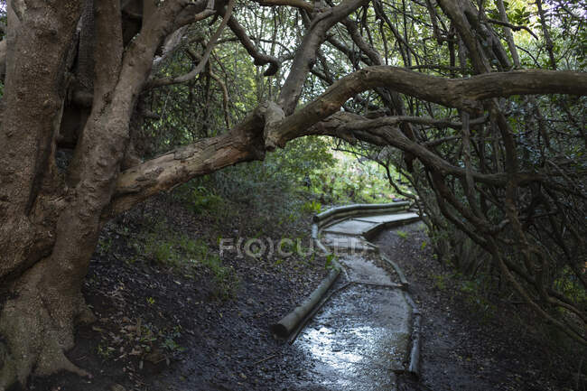 Nature trail, Stanford, Western Cape, Sudáfrica - foto de stock