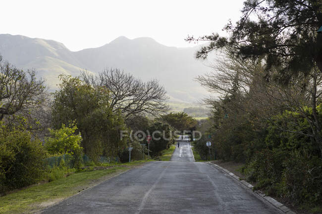 Estrada através de uma paisagem rural com árvores. — Fotografia de Stock