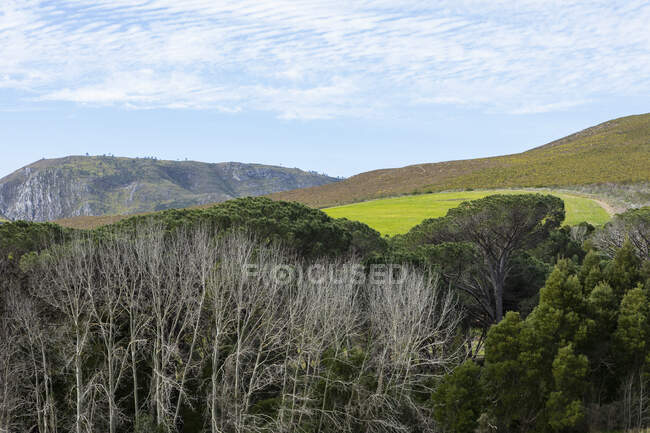 Paesaggio in pianura pianeggiante e vista sulle montagne Klein, — Foto stock
