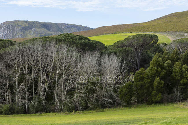 Landscape in a flat plain and view to the Klein mountains, — Stock Photo