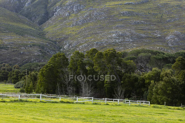 Landscape in a flat plain and view to the Klein mountains, — Stock Photo