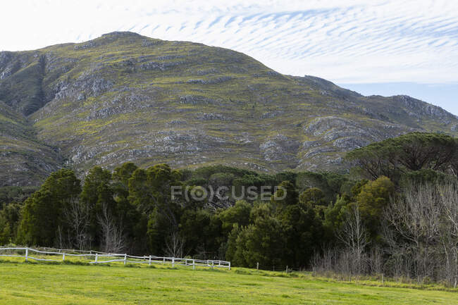 Paysage dans une plaine plate et vue sur les montagnes Klein, — Photo de stock