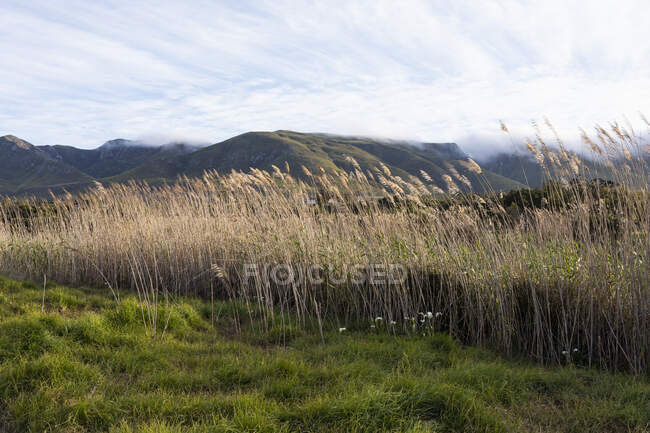 Paisaje en una llanura plana y vista a las montañas Klein, - foto de stock
