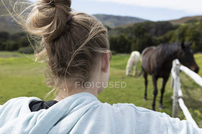 Ragazza adolescente che guarda i cavalli in un campo — Foto stock