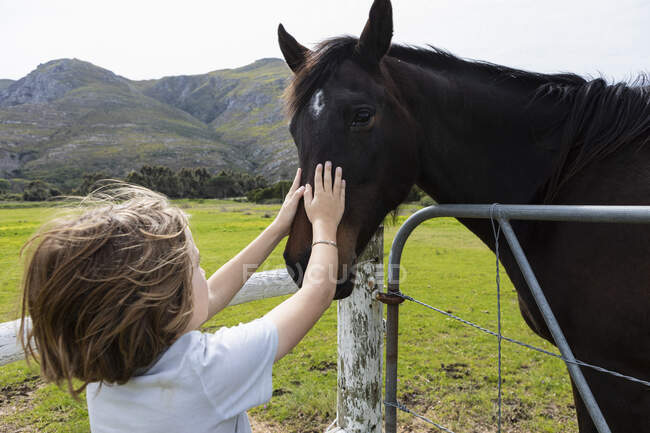 Otto anno vecchio ragazzo pacche un cavallo in un campo — Foto stock