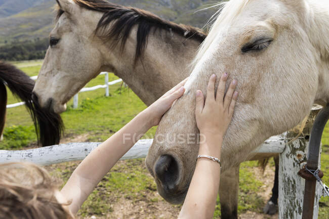 Un garçon de huit ans tapote un cheval dans un champ — Photo de stock