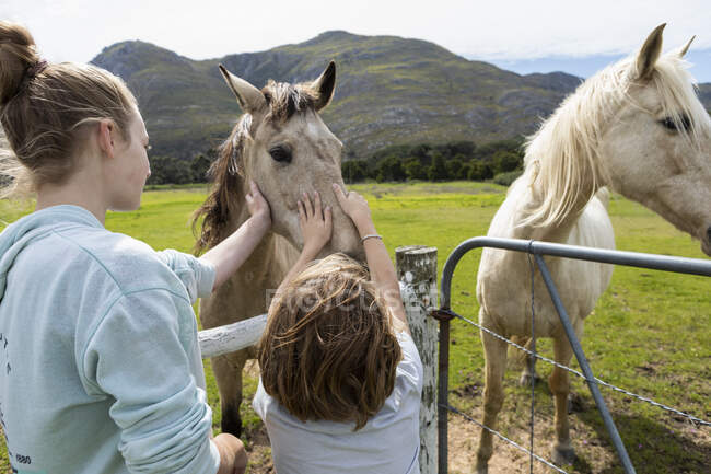 Un garçon et sa sœur adolescente caressant et caressant des chevaux dans un enclos. — Photo de stock