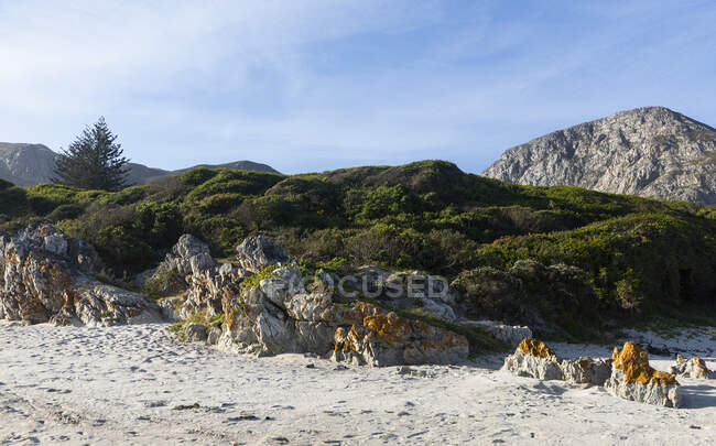 Dune di sabbia e vegetazione macchia su una spiaggia, montagne sullo sfondo. — Foto stock