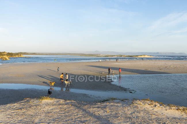 People and dogs on a wide sandy beach at sunset — Stock Photo