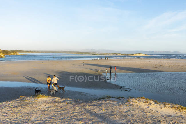 Wide sandy beach and water channels and dunes, people and dogs on the sand at sunset — Stock Photo