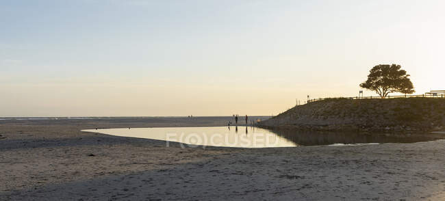 Закат, низкий свет, открытый песчаный пляж во время отлива, люди на заднем плане — стоковое фото