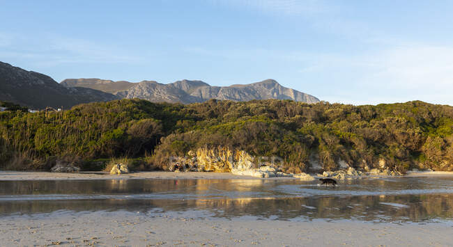 Bosque y montañas paisaje, una pequeña playa de arena protegida en la orilla del Atlántico. - foto de stock