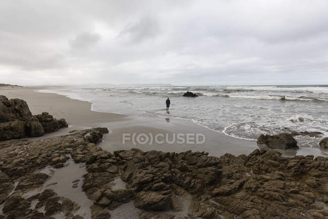 Un hombre caminando a través de la arena hasta el borde del agua en una playa, día nublado y olas de surf rompiendo en la orilla. - foto de stock