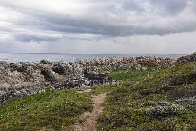 Costa irregular rochosa, rocha de arenito erodida, vista para o oceano — Fotografia de Stock