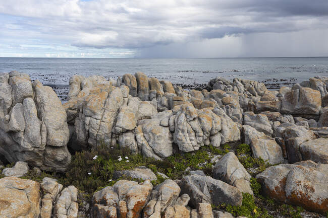 Rocky jagged coastline, eroded sandstone rock, view out to the ocean — Stock Photo