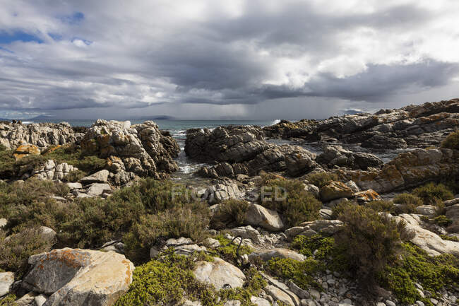Rocky jagged coastline, eroded sandstone rock, view out to the ocean — Stock Photo