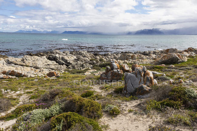 Скалистое неровное побережье, эродированная скала из песчаника, вид на океан — стоковое фото