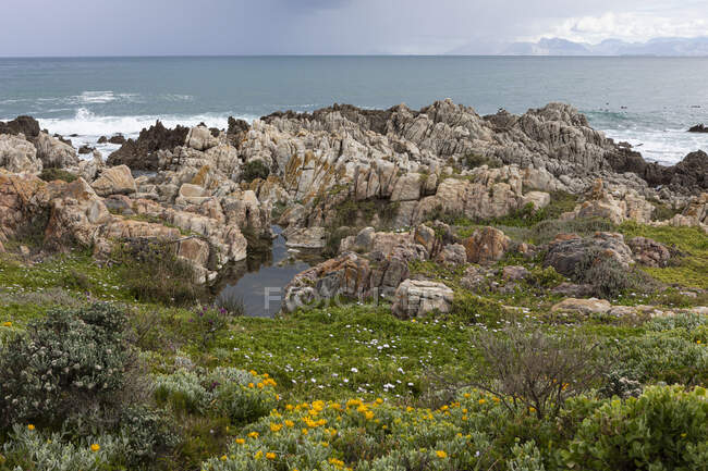 Costa irregular rochosa, piscina de rocha e vista para o oceano — Fotografia de Stock
