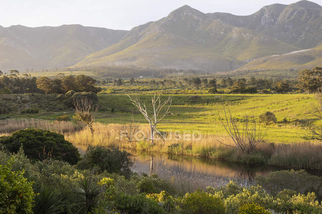View across a tranquil landscape, river valley and a mountain range — Stock Photo