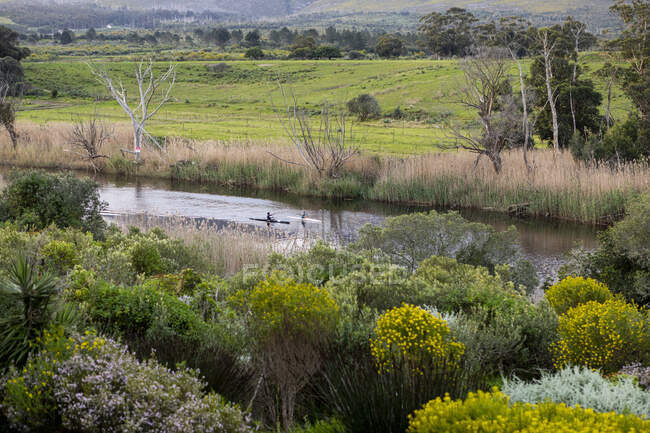 Vue surélevée de plantes à fleurs et d'arbustes sur une pente, deux kayakistes sur une rivière étroite et une prairie. — Photo de stock