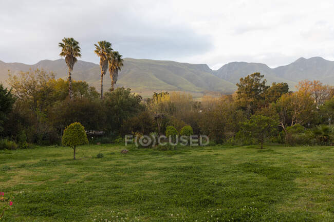 Scenic view of the Klein mountains and forest. — Stock Photo