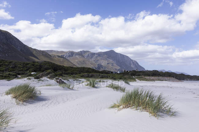 Grotto Beach, Hermanus, Western Cape, Afrique du Sud. — Photo de stock