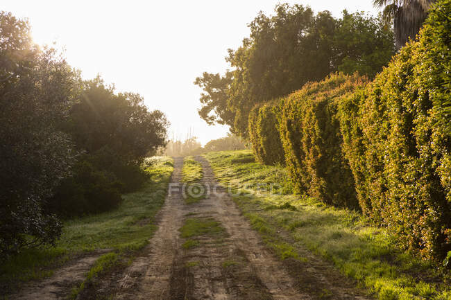 Пешеходный маршрут в сельской местности недалеко от Стэнфорда — стоковое фото