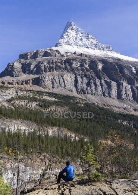 Person looking up at snow-covered Mount Robson. — Stock Photo