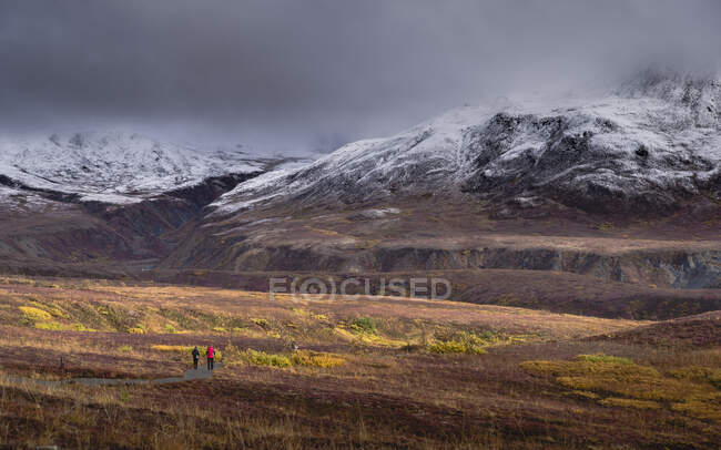 Deux personnes marchant vers Denali ou Mount McKinley sous un ciel gris couvert. — Photo de stock