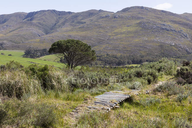Elevated view over landscape, Stanford, Western Cape, South Africa. — Stock Photo