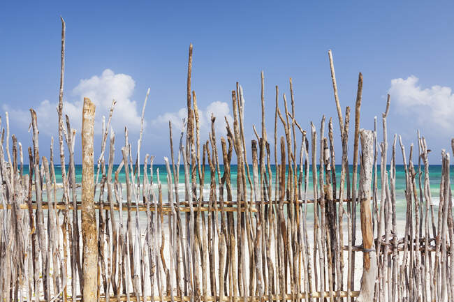 A stick fence along a white sand beach — Foto stock