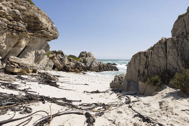 Estratos rochosos erodidos e rochas irregulares pairando sobre uma pequena praia de areia com algas marinhas na areia. — Fotografia de Stock
