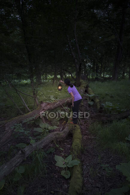 Woman standing on wooden fence in a forest holding a lamp in the dusk. — Stockfoto