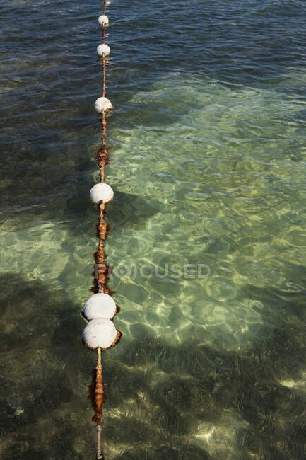Floats in water marking the swimming area in the sea — Foto stock