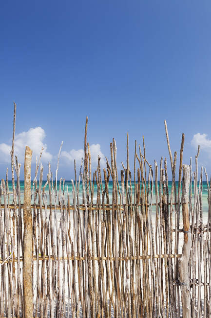 A stick fence along a white sand beach — Foto stock