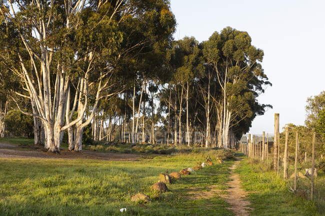 Wandel Pad, a walking route in countryside near Stanford — Foto stock