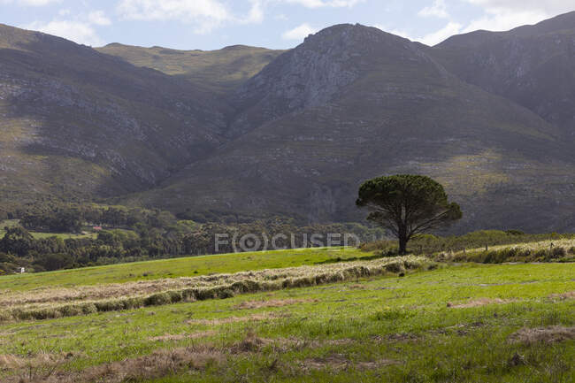 Высокий вид на ландшафт и сельхозугодия под тенью горного хребта — стоковое фото