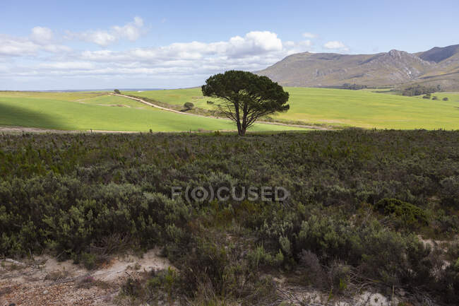Erhöhter Blick über Landschaft und Ackerland im Schatten einer Bergkette — Stockfoto