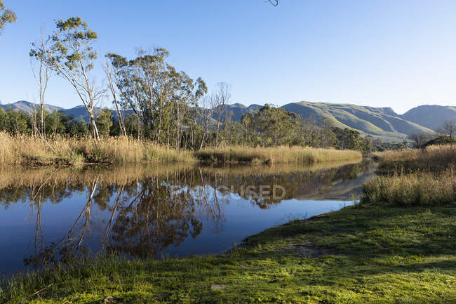 Calm river and tall reeds, trees and view across a plain to mountain range. — Stock Photo