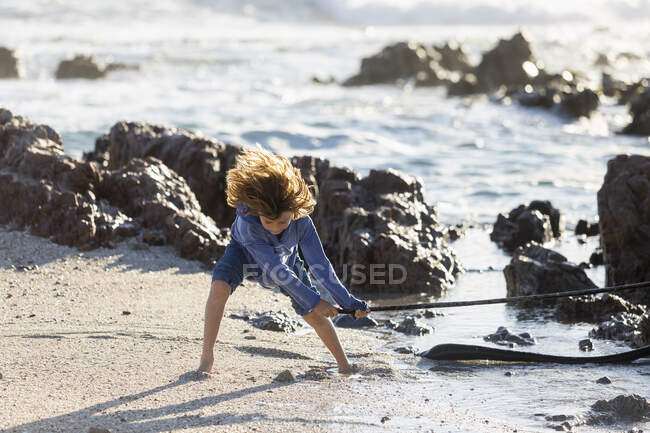 Хлопчик грає на кам'янистому пляжі, тримаючи довгу кельпу морських водоростей — стокове фото