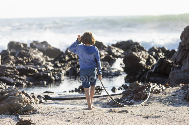 Мальчик играет на скалистом пляже, держа длинную нить водорослей — стоковое фото