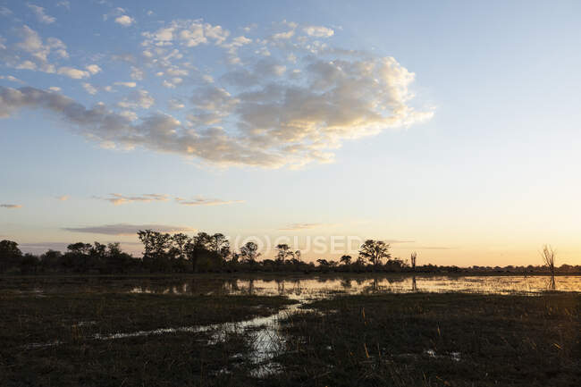 Coucher de soleil, delta de l'Okavango, Botswana — Photo de stock