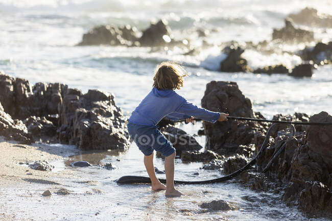 Хлопчик грає на скелястому березі, тримаючи довгу канаву з водоростями. — стокове фото