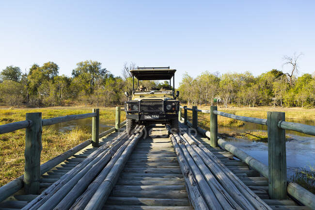 Um rapaz a atravessar uma ponte de madeira sobre pântanos. — Fotografia de Stock