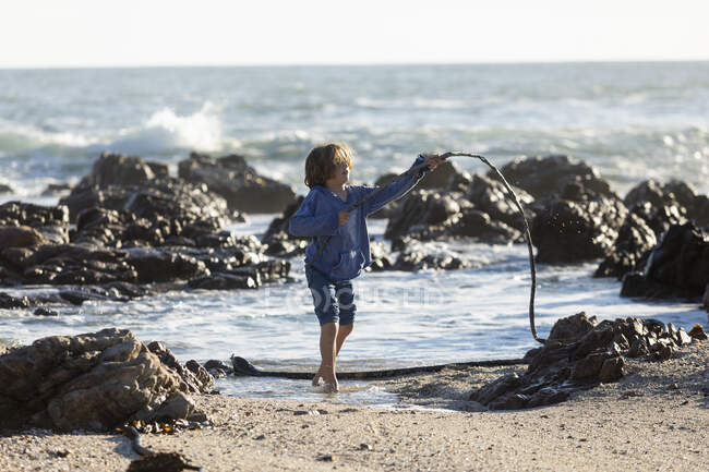 Menino brincando em uma praia rochosa, segurando uma longa alga alga fio — Fotografia de Stock