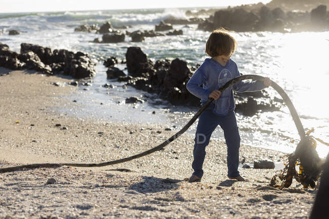 Kleiner Junge sammelt lange Seile aus Seetang an einem felsigen Strand — Stockfoto