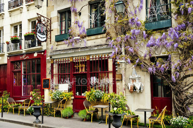 Cafe esterno, marciapiede esterno e glicine fiorito piante rampicanti, cartelli stradali. — Foto stock