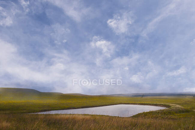 Pradera en verano, un lago y un paisaje ondulado - foto de stock