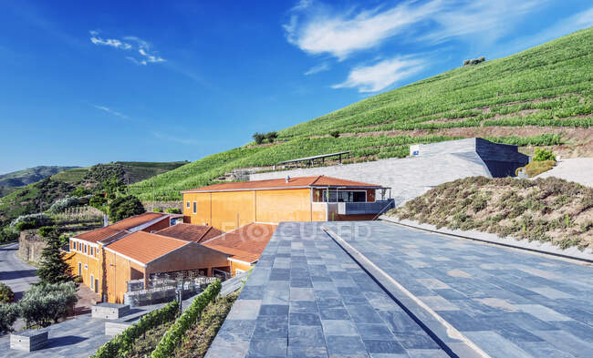 Edificios de viñedos y bodegas en el valle del Duero. - foto de stock