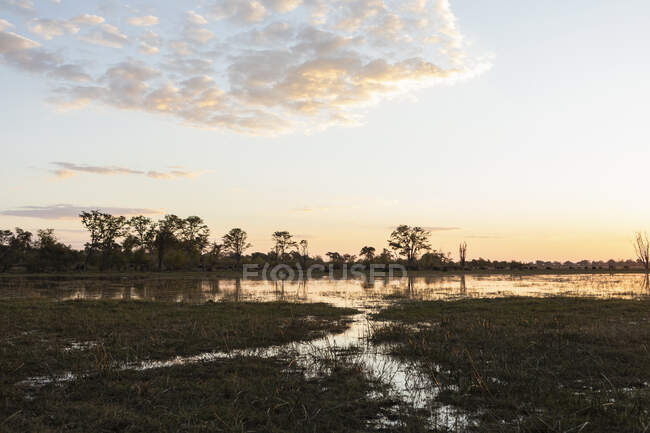 Atardecer, Delta del Okavango, Botsuana - foto de stock